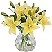 Meiwo Artificial Flowers, 5pcs Artificial Lillies with 3 Buds, Full Bloom Artificial Latex Real Touch Flowers for Home Decor, Wedding, Parties, Offices, Restaurants(Yellow)