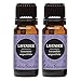 Edens Garden Lavender Value Pack 100% Pure Undiluted Therapeutic Grade Essential Oil GC/MS Tested