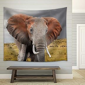 Elephant in National Park of Kenya, Africa - Fabric Wall Tapestry Home Decor - 51x60 inches