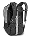 The North Face Jester Backpack, Lunar Ice Grey Chainlink Print, One Size