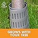 Dimex EasyFlex Plastic Tree Trunk Protectors, 6 Count, Grey (1131-6C), Gray