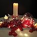 Supla 3000 Pcs Dark Red Silk Rose Petals 2