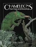 Chameleons: Their Care and Breeding by