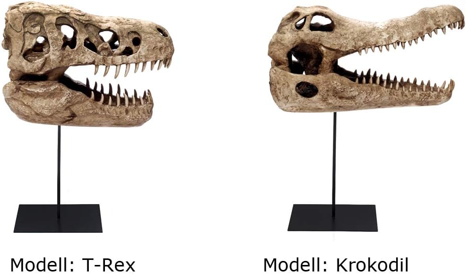 Brillibrum Design T Rex Deko Dinosaurier Kopf Aus Kunststein Tier Schadel Fossiles Skelett Modell Tyrannosaurus Rex Trophae Dinosaurier Schadel Wohnaccessoires Deko Skulpturen
