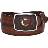 Amazon.com: Cuadra - Botas para hombre, piel de avestruz, color marrón :  Ropa, Zapatos y Joyería