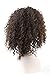 Futuretrend Kinky Curly Afro Wig Cheep Female Wig Brown Kinky Curly Short Wigs for Black Women Heat Resistant African Hair Wigs (brown)