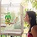 MEWTOGO Wooden Block Bird Parrot Toys for Small and Medium Parrots and Birds (Orange and Apple Shape)