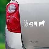 Dicks Out For Harambe - Multi-Use Vinyl Decal (Cars/Laptop/Home) - 8 x 3 - by The Vinyl Initiative