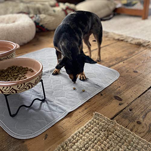 rocket & rex Washable Pee Pads for Dogs Reusable Puppy Pads and