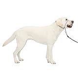 PetSafe Gentle Leader No-Pull Dog Headcollar - The