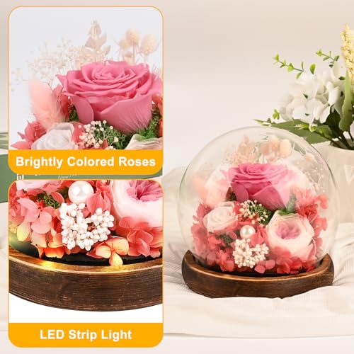 Comius Sharp Preserved Natural Eternal Rose, Eternal Rose with LED Lights, Bouquet Flowers in Glass Dome, Christmas Gifts Women Mom, Valentine's Day Mother's Day Gift (B)