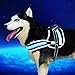Pet Industries] Reflective LED Dog Harness -USB Rechargeable [Premium Edition] (Available in 5 Sizes) (X-Large (Girth 30 – 40”), Electric Blue)