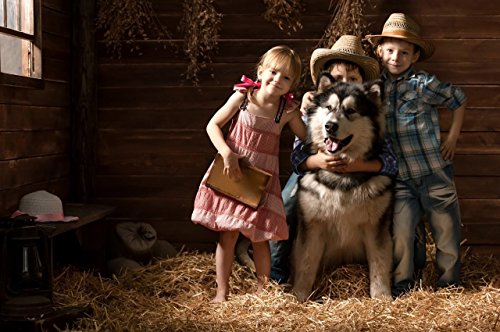Pet's Pick Cedar Bedding - Image 4