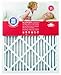 True Blue Allergen 12x36x1 Air Filter , MERV 11, 4-Pack