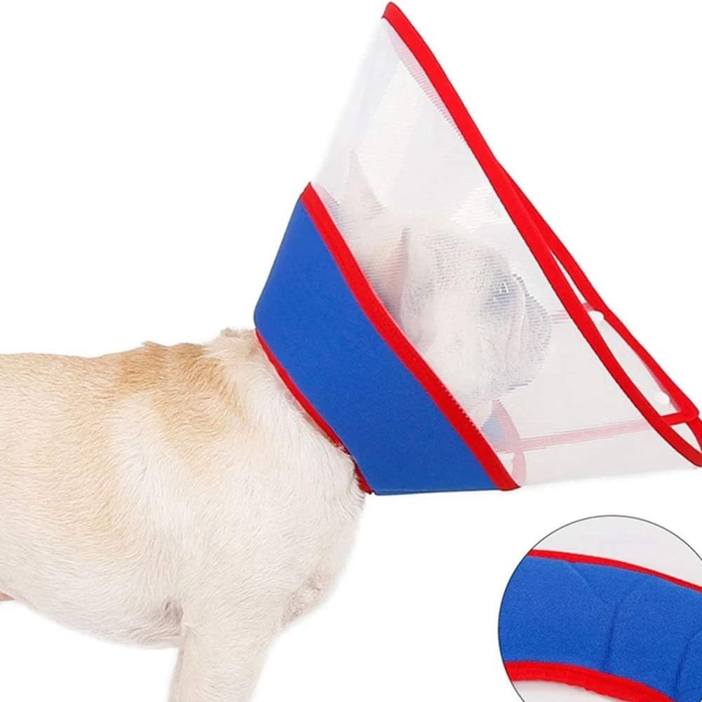 dog cone collar target
