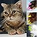 20pcs Soft Cat Pet Nail Caps Claw Control Protector Cap + Adhesive Glue Hot Pink Size M