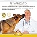 Chewable Omega 3 Salmon Oil Supplement for dogs-120 Gluten Free Wild Alaskan Fish Oil Bites for Youthful Skin & Coat, Heart Healthy EPA/DHA, Boost Immune System & Metabolism, Anti Inflammatory