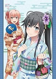 やはり俺の青春ラブコメはまちがっている。完 和風B1タペストリー(浴衣)