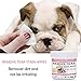 SEGMINISMART Tear Stain Remover Wipes for Cats & Dogs, Cat Eye Wipes, Pet Eye Cleaning Wipes, Tears Stain Removing Treatment, Best Natural Eye Crust Treatment for White Fur, 100 Pre Soaked Cotton Pads