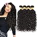 Perstar 8A Grade Uprocessed Brazilian Water Wave virgin hair 4 Bundles Remy Human Hair Natural Color (16 18 20 22, Natural Color)