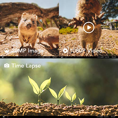 usogood 20MP Wildkamera mit Infrarot Nachtsicht 1080P Wildtierkamera mit Bewegungsmelder, 120° Weitwinkel Vision, IP66… – Bild 3