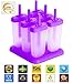 Popsicle Molds with Sticks Ice Pop Maker | 6 Pieces BPA Free w/Silicone Funnel and Cleaning Brush and 1 Extra Silicone Lid and Recipes E-book by Lebice