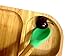 Baby Toddler Stay Put Dish, Kids Suction Plate, Bamboo Cute Dinnerware (Green)