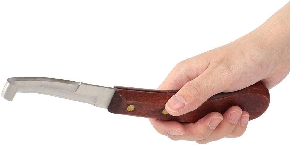 Hoof Trimming Tool Kit Double Sided Hoof Rasp Hoof Clipper Hoof Knife Horse Hoof Care for Horses - Image 5