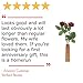 1st Year Wedding Anniversary 2 Stems Paper Roses 18 inches Tall with Vase