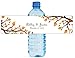 DesignThatSign 100 Autumn Trees Wedding Anniversary Engagement Party Water Bottle Labels Bridal Shower Birthday