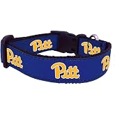NCAA Pittsburgh Panthers Dog Collar (Team Color, Small)