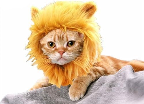 HTKJ Lion Mane Cat/Dog Costume Cute Adjustable Washable Pet Wig Hat for Cat or Small Dog Clothes Dress up Halloween Christmas Easter Festival Party Activity (Cat-Brown)