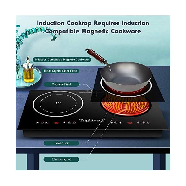 Trighteach Portable Induction Cooktop(Double Countertop Burner) 2200W