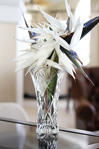 Marquis By Waterford Dozen Rose Honour 10" Vase, Clear, 6.25" w x 6.25" l x 10" h