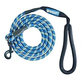 Phydeaux's Mountain Climbing Rope Dog Leash - 6 ft Long - Premium Quality - Perfect for Medium and Large Dogs (Blue)
