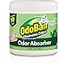 OdoBan Solid Odor Absorber for Home and Small Spaces, Original Eucalyptus Scent, 14 oz, 3-Pack