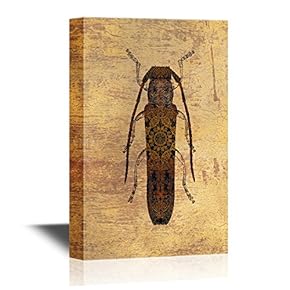 Insects Artwork Series Canvas Wall Art - an Oberea Oculata Longhorn Beetle on Vintage Background - Gallery Wrap Modern Home Art | Ready to Hang - 12x18 inches