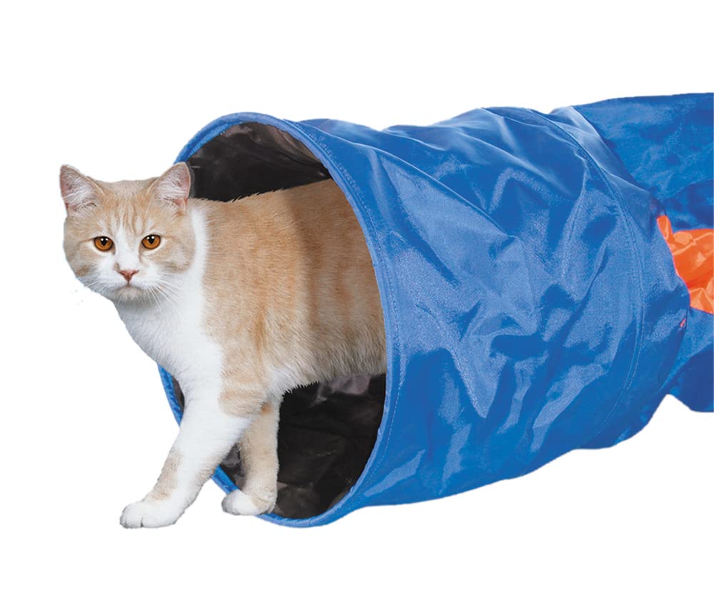 Nobby Cat Tunnel