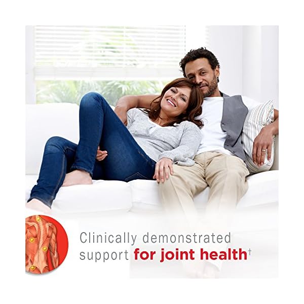 Garden of Life Joint Supplement for Men and Women Wobenzym N Systemic