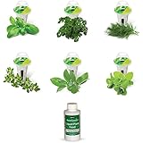 AeroGarden Gourmet Herb Seed Pod Kit (6 pod)