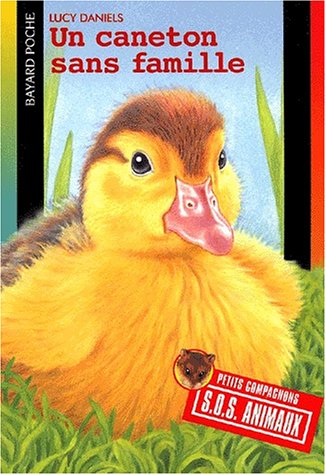 Un  caneton sans famille