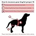 Simple Solution Washable Reusable Female Dog Diapers (X-Small 3 Pack)