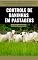 Livro CONTROLE DE PLANTAS DANINHAS EM PASTAGENS | Manual Agronômico