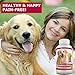 Amazing Cranberry for Dogs Pet Antioxidant, Urinary Tract Support Prevents and Eliminates UTI in Dogs, 120 Chews