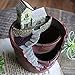 Tiny Creative Plants Pot LETOOR Flower Plants Succulent DIY Container Decorated with Mini Hanging Fairy Garden and Sweet House for Holiday Decoration and Gift