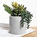 MyGift 7-Inch Artificial Succulent Plant Arrangement in Cement-Tone Planter