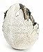 Ebros Gift Jurassic Era Predator Tyrannosaurus Rex In Egg Dinosaur Figurine Dino Hatchling Egg Crackling Baby Collectible Sculpture Of Prehistoric Giant Animals Ice Age Land Before Time Fossil Replica