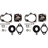 ALL-CARB 2 Pack Carb Repair Kits with Float Replacement for Johnson Evinrude 396701 18 20 25 28 30 35 40 45 48 50 55 60 65 70 75hp