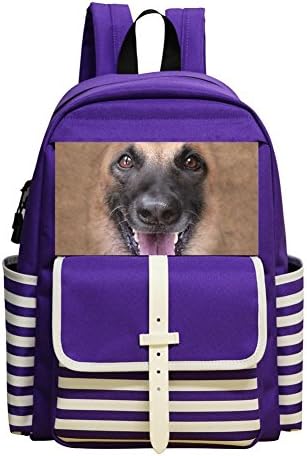Mini School Bags For Kindergarten Unisex Child,Print Big Face Belgian Malinois,Purple
