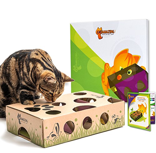 Cat Amazing Interactive Treat Maze and Puzzle CAT Toy
